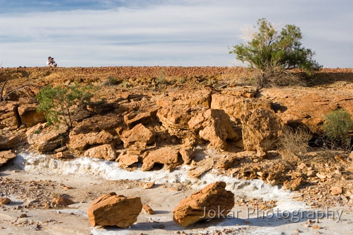 Lake Eyre (Day 2)_20070407_191.jpg - Springs near the Oodnadatta Track